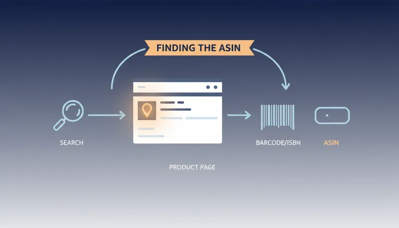 asin amazon infographic - How to Find an ASIN on an Amazon Product Page
